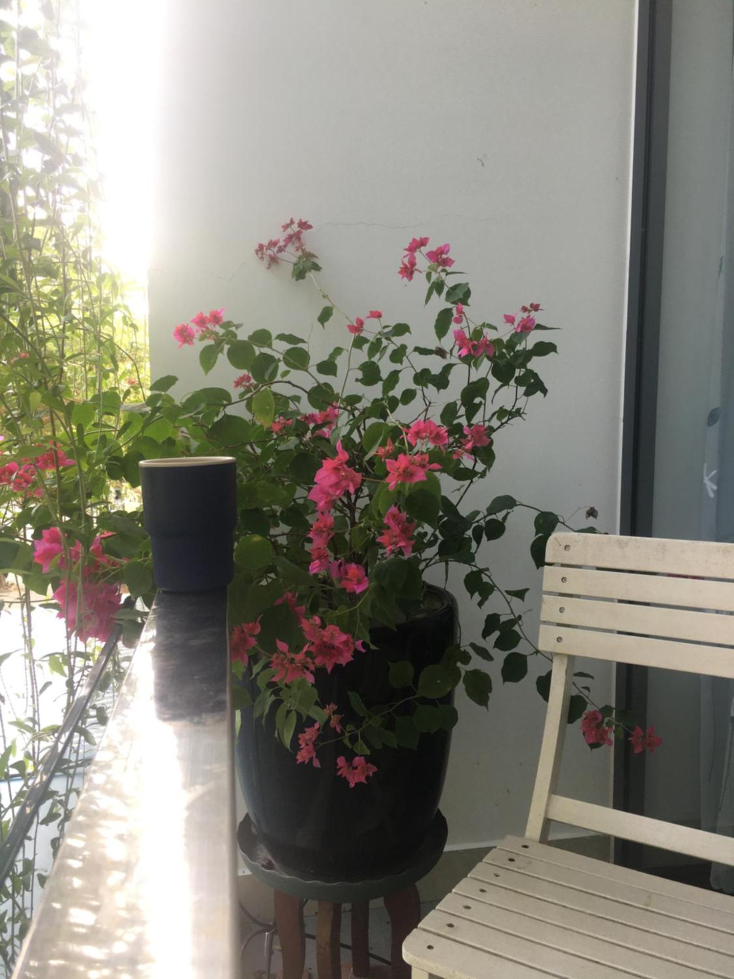 La Gai Homestay Hoi An Dış mekan fotoğraf